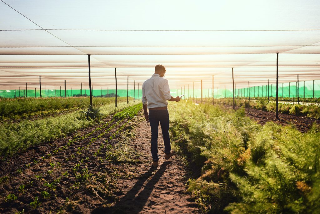 Farmer with tablet checking farm growth, managing plant export orders on technology and monitoring farming progress.